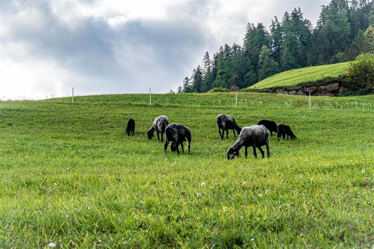 Zoeschgenhof Apartment Matrei in Osttirol Bagian luar foto